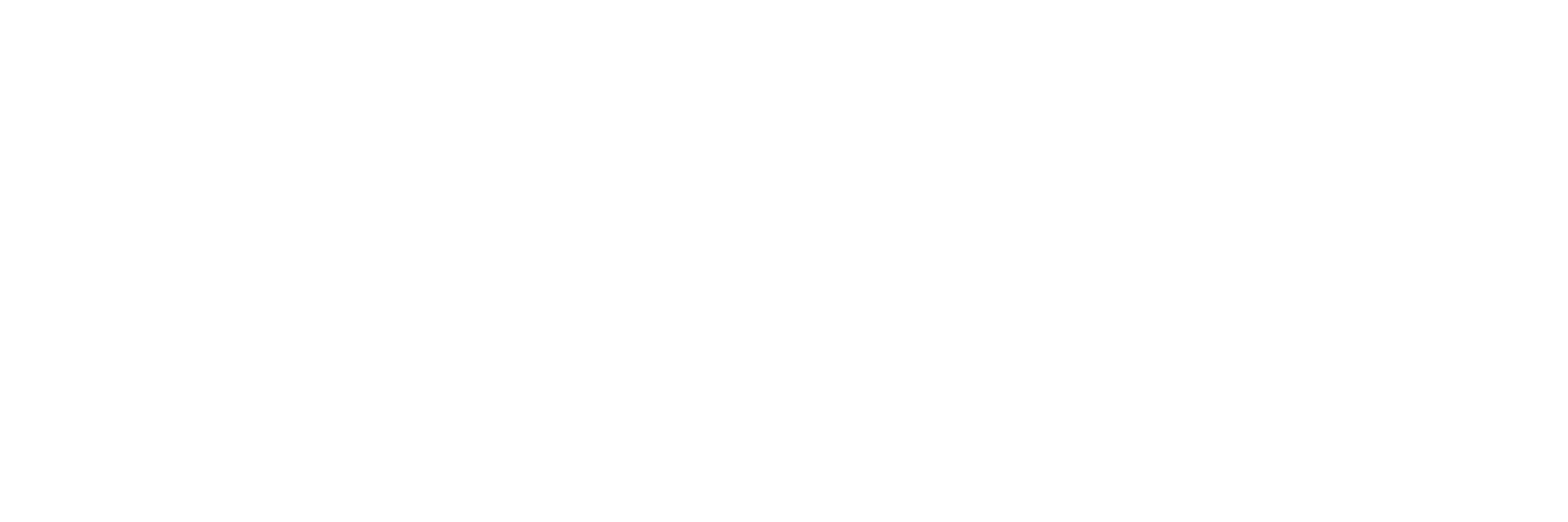 Parceiro 3